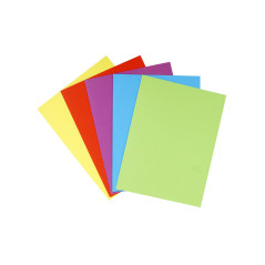 Exacompta 415000E cartella Cartone Multicolore A4