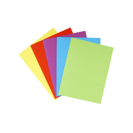 Exacompta 415000E cartella Cartone Multicolore A4