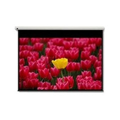 Optoma Pantalla 16 9 2656 x 1494mm schermo per proiettore 3,05 m (120")