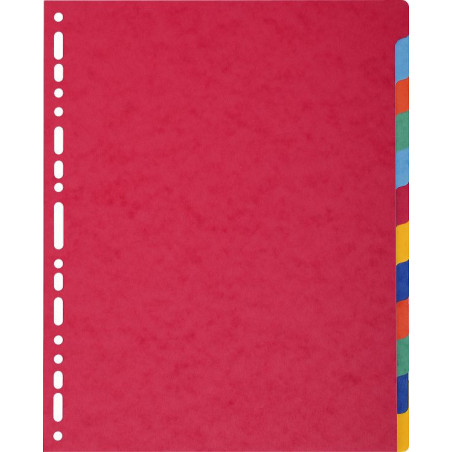 Exacompta 2612E divisore Cartoncino Multicolore 12 pz