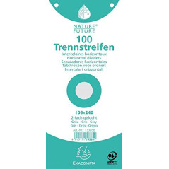 Exacompta 13385B scheda per indice Grigio 100 pz