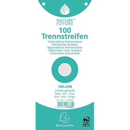Exacompta 13385B scheda per indice Grigio 100 pz