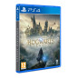 Warner Bros Hogwarts Legacy Standard PlayStation 4