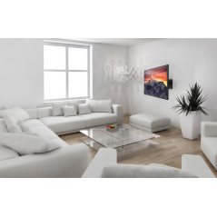 Reflecta 23111 Supporto TV a parete 101,6 cm (40") Nero