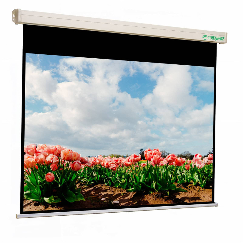 Sopar Platinum schermo per proiettore 3,66 m (144") 4:3