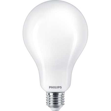 Philips Lampadina smerigliata a filamento 200 W A95 E27