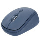 Trust Yvi+ mouse Casa Ambidestro RF Wireless Ottico 1600 DPI