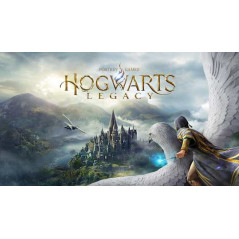 Warner Bros. Games Hogwarts Legacy Nintendo Switch 2 Standard Cinese semplificato, Cinese tradizionale, Tedesca, Inglese, ESP,