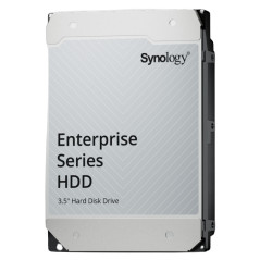 Synology HAS5310-20T disco rigido interno 20 TB 7200 Giri min 512 MB 3.5" SAS