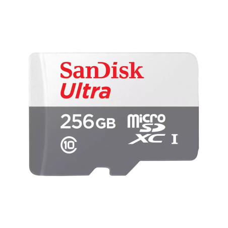 SanDisk Ultra 256 GB MicroSDXC UHS-I Classe 10