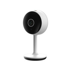 Beghelli 60020 telecamera di sorveglianza Telecamera di sicurezza IP Interno 1920 x 1080 Pixel Soffitto Parete scrivania