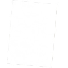 Fellowes 5373602 cartellina A4 Carta Bianco 25 pz