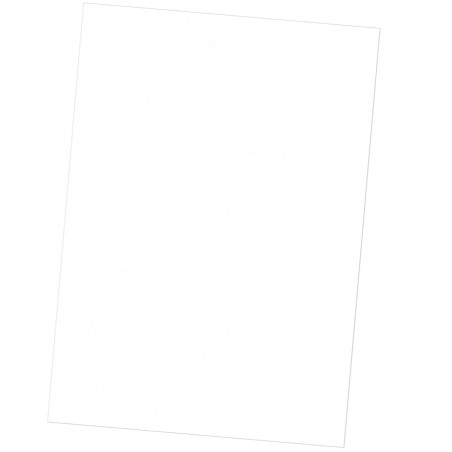 Fellowes 5373602 cartellina A4 Carta Bianco 25 pz