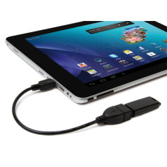 Hamlet Cavo Exagerate Zelig Pad Cable adattatore da mini usb ad usb femmina