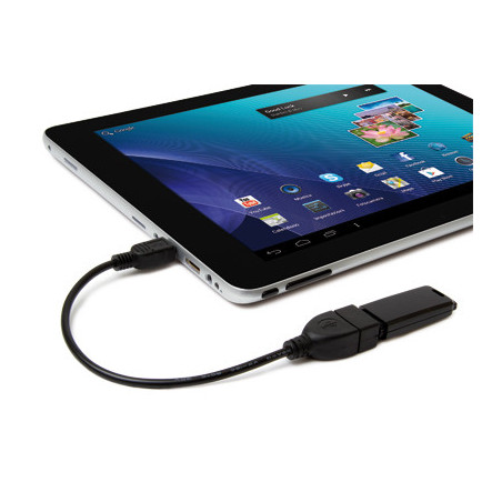 Hamlet Cavo Exagerate Zelig Pad Cable adattatore da mini usb ad usb femmina