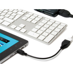 Hamlet Cavo Exagerate Zelig Pad Cable adattatore da mini usb ad usb femmina