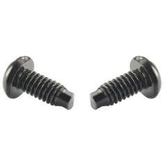 Panduit English Screw No12-24 Viti fascicolate