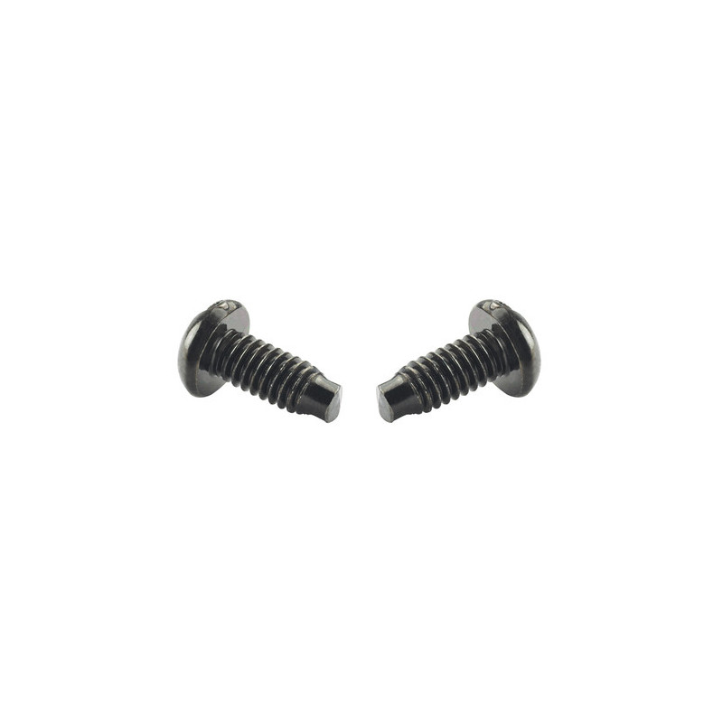 Panduit English Screw No12-24 Viti fascicolate Panduit English Screw No12-24 Viti fascicolate