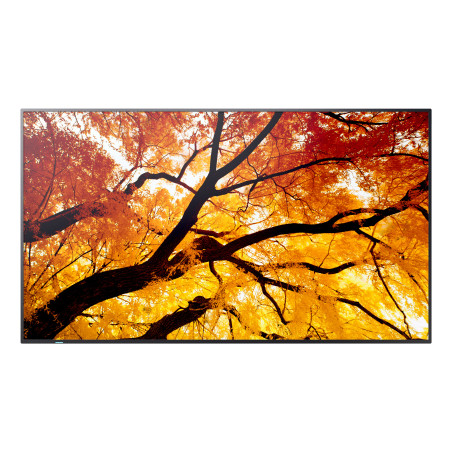 Sharp MultiSync M502 Pannello piatto per segnaletica digitale 127 cm (50") LCD 550 cd m² 4K Ultra HD Nero 24 7