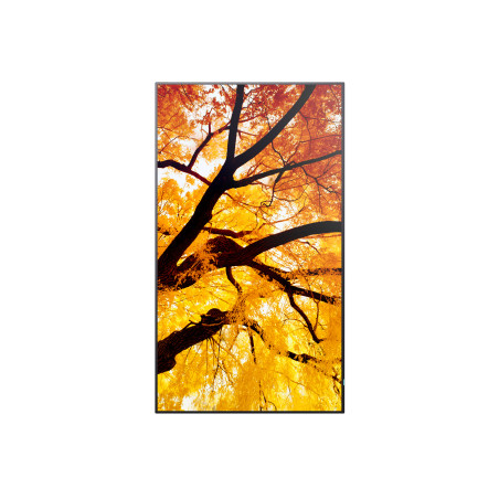 Sharp MultiSync M502 Pannello piatto per segnaletica digitale 127 cm (50") LCD 550 cd/m² 4K Ultra HD Nero 24/7