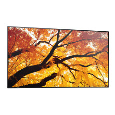 Sharp MultiSync M502 Pannello piatto per segnaletica digitale 127 cm (50") LCD 550 cd m² 4K Ultra HD Nero 24 7