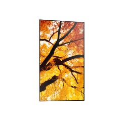 Sharp MultiSync M502 Pannello piatto per segnaletica digitale 127 cm (50") LCD 550 cd m² 4K Ultra HD Nero 24 7