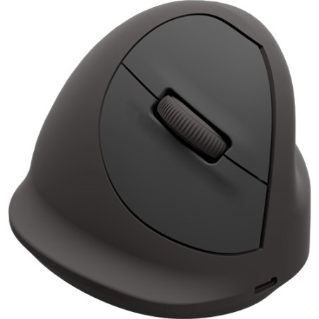 Fellowes 100143580 mouse Universale Mano destra Bluetooth + USB Type-C Ottico 2400 DPI