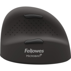Fellowes 100143580 mouse Universale Mano destra Bluetooth + USB Type-C Ottico 2400 DPI