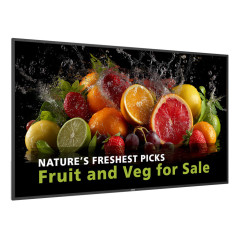 Philips Serie 5000 65BDL5050D/00 visualizzatore di messaggi 165,1 cm (65") LCD Wi-Fi 600 cd/m² Full HD Nero Processore