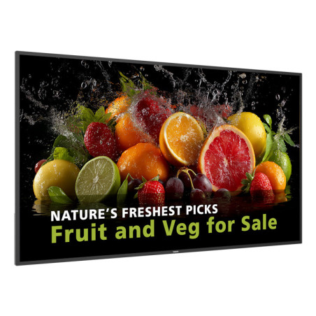 Philips Serie 5000 65BDL5050D/00 visualizzatore di messaggi 165,1 cm (65") LCD Wi-Fi 600 cd/m² Full HD Nero Processore