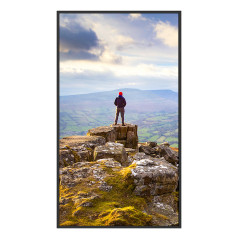 Sharp PN-E439 Pannello piatto per segnaletica digitale 109,2 cm (43") LCD 350 cd m² 4K Ultra HD Nero 16 7