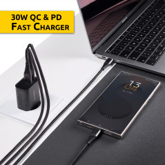 Intenso 7803010 adattatore e invertitore Interno 30 W Nero