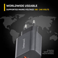 Intenso 7803010 adattatore e invertitore Interno 30 W Nero