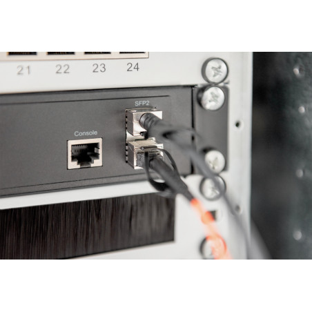 Digitus Cavo DAC SFP+ 10G da 10m