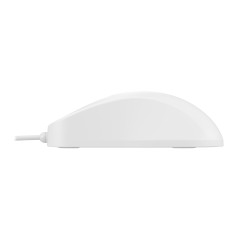 Contour Design Active Key AK-PMH1 mouse Medico Ambidestro USB tipo A Ottico 1000 DPI
