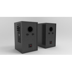 Empire Media HS.290BLACK altoparlante 2-vie Nero Cablato 290 W