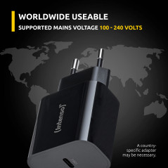 Intenso 7802010 adattatore e invertitore Interno 20 W Nero