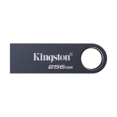 Kingston Technology DataTraveler 256GB SE9 G3 - Nichel scuro