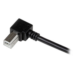 StarTech.com Cavo USB 2.0 A a B con angolare destro da 2 m - M M