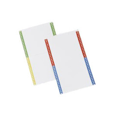 Bertesi 031 scatola per la conservazione di documenti Multicolore