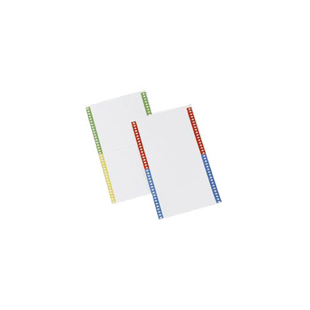 Bertesi 031 scatola per la conservazione di documenti Multicolore