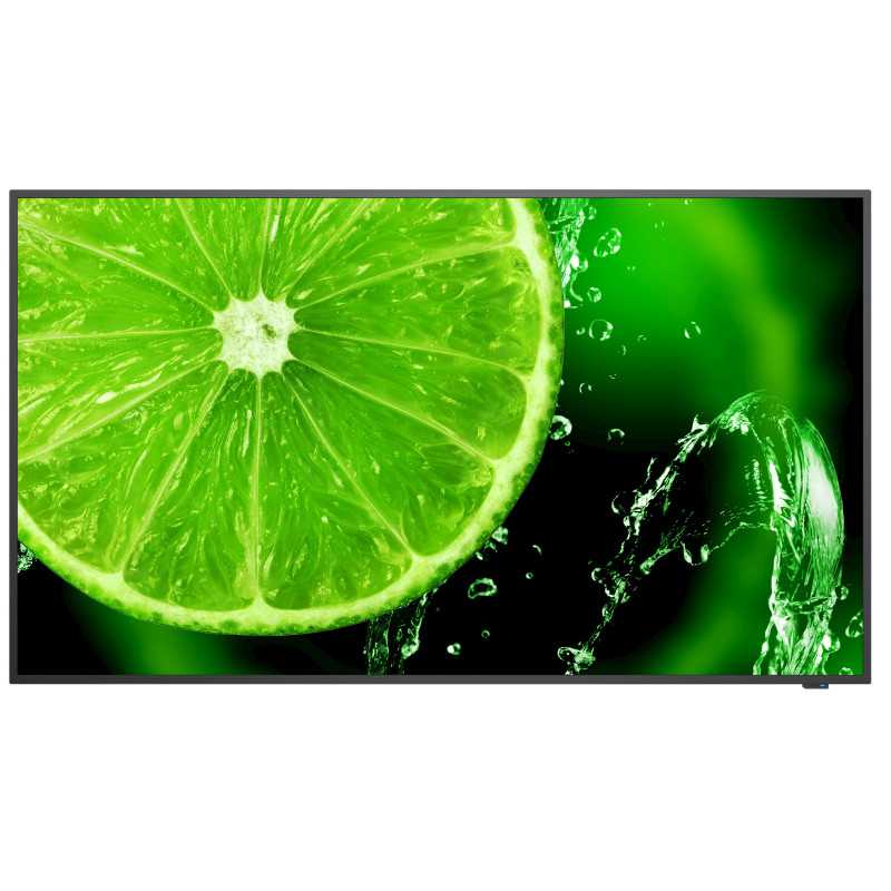 NEC MultiSync E498 124,5 cm (49") IPS 350 cd/m² 4K Ultra HD Nero 16/7 60005052