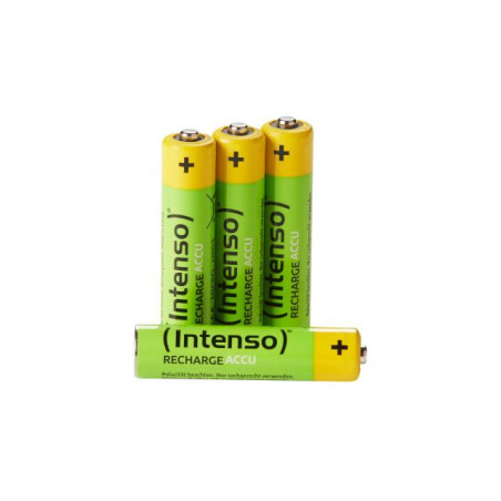 Intenso 7505114 batteria per uso domestico Batteria ricaricabile Mini Stilo AAA Nichel-Metallo Idruro (NiMH)