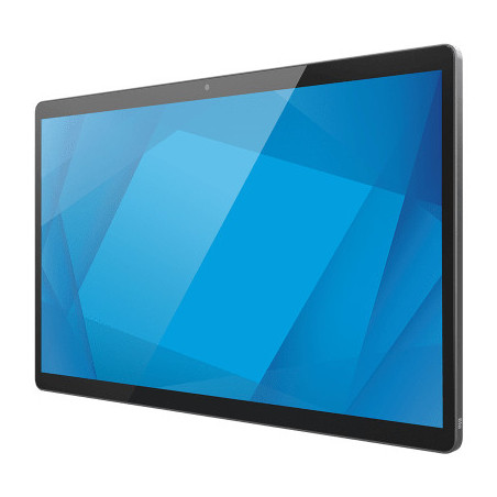 Elo Touch Solutions E983895 Tablet 39,6 cm (15.6") 1920 x 1080 Pixel Touch screen Grigio - 0843173163628