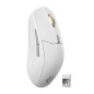 Steelseries 62524 mouse Gaming Mano destra RF Wireless + Bluetooth + USB Type-C Ottico 18000 DPI