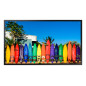 Samsung OM55B Pannello piatto per segnaletica digitale 139,7 cm (55") LCD Wi-Fi 3000 cd/m² 4K Ultra HD Nero Proce LH55OMBEBGBXEN Samsung OM55B Pannello piatto per segnaletica digitale 139,7 cm (55") LCD Wi-Fi 3000 cd/m² 4K Ultra HD Nero Proce LH55OMBEBGBXEN