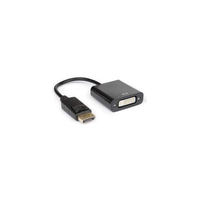 Hamlet XVADP-DV cavo e adattatore video DisplayPort DVI Nero Hamlet XVADP-DV cavo e adattatore video DisplayPort DVI Nero