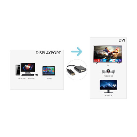 Hamlet XVADP-DV cavo e adattatore video DisplayPort DVI Nero