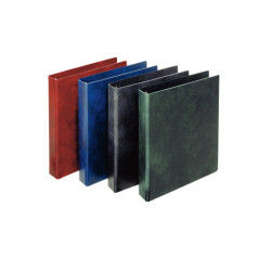 Esselte 390550050 raccoglitore ad anelli 245 x 305 mm Blu