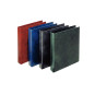 Esselte 390550050 raccoglitore ad anelli 245 x 305 mm Blu